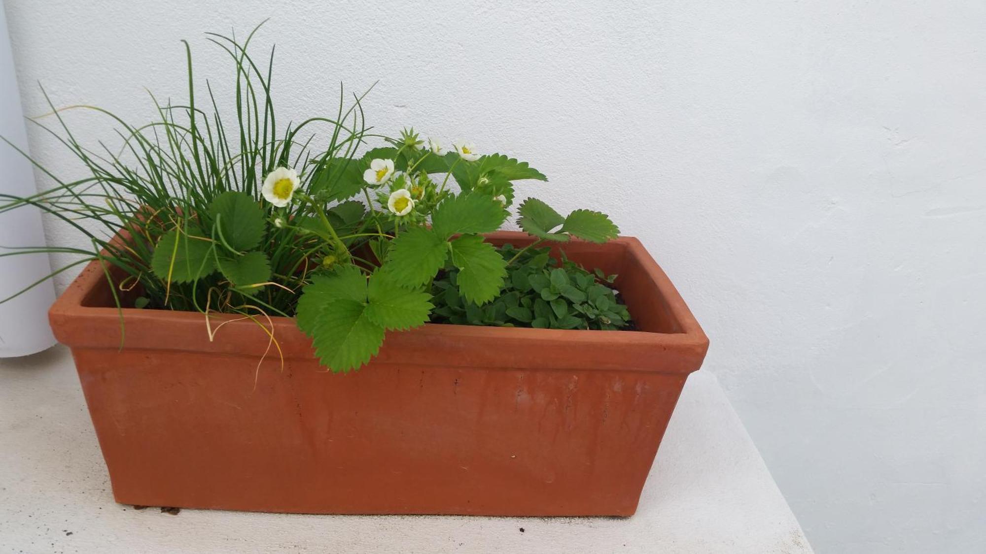 Holiday home Casas Do Patheo